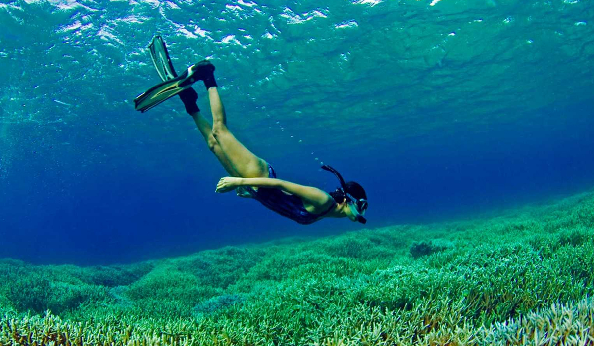 Snorkeling